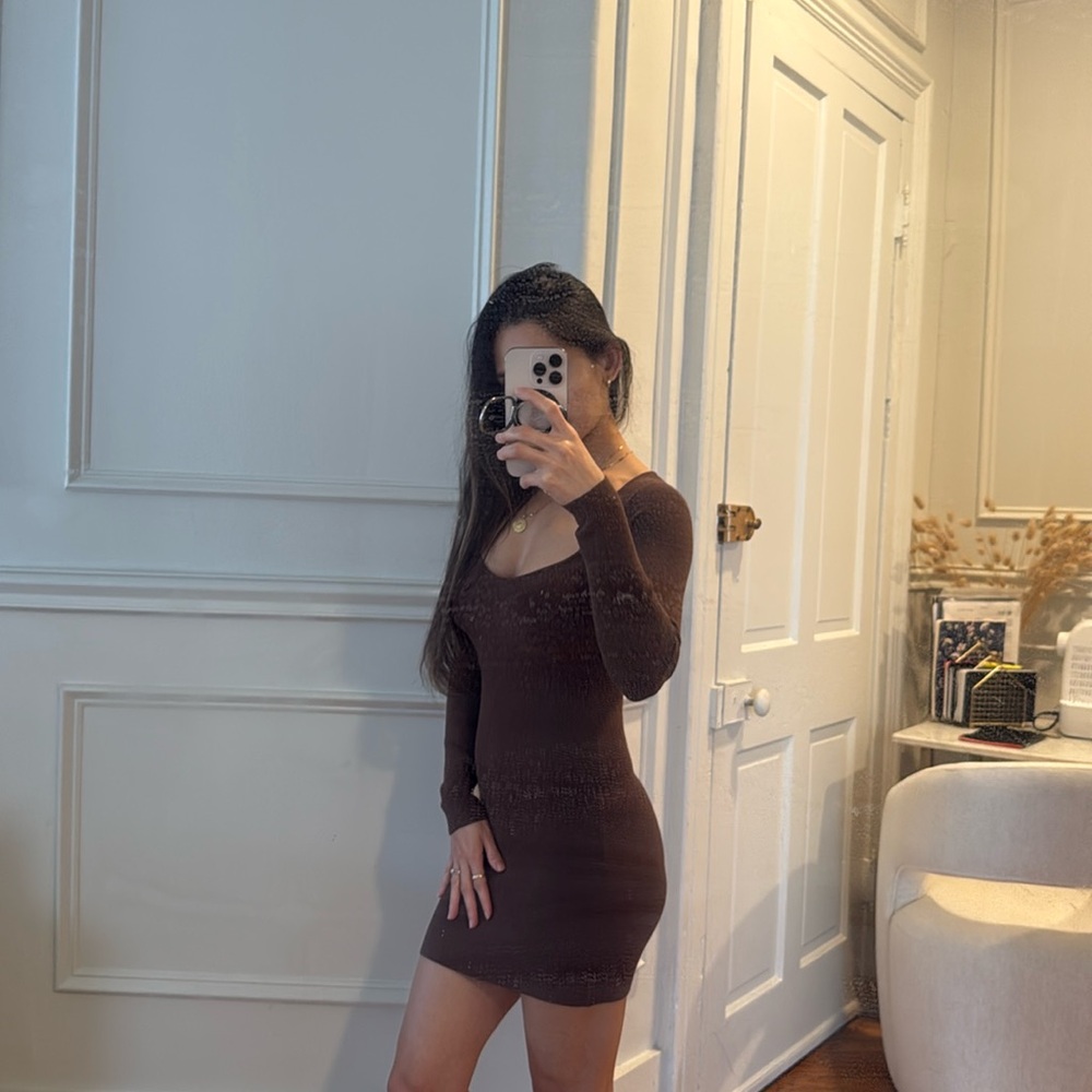 Aritzia mini brown dress